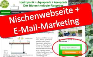 nischenwebseite-und-e-mail-marketing