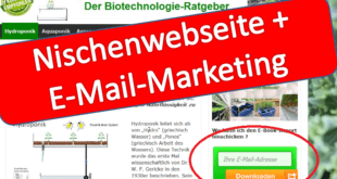 nischenwebseite-und-e-mail-marketing