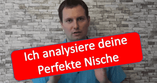 Ich analysiere deine perfekte Nische