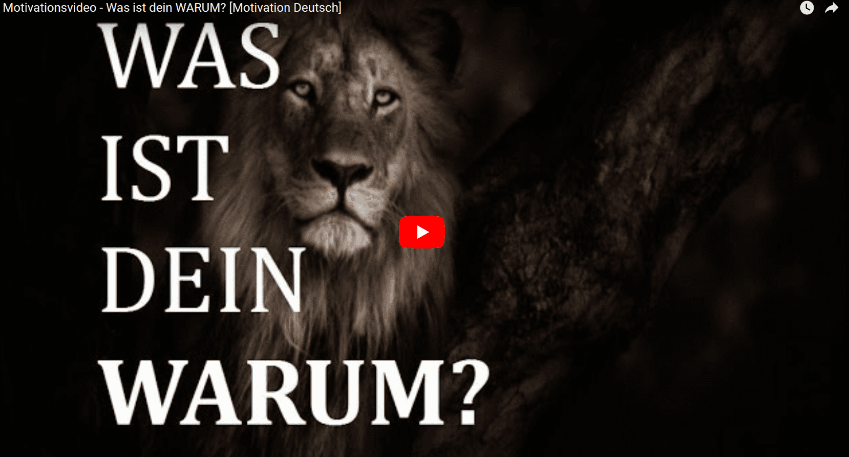 Motivation: Kenne dein Warum