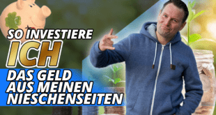 so investiere ich mein Geld aus meinen Nischenseiten