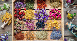 Lars Pilawski Online Geld verdienen aromatherapie