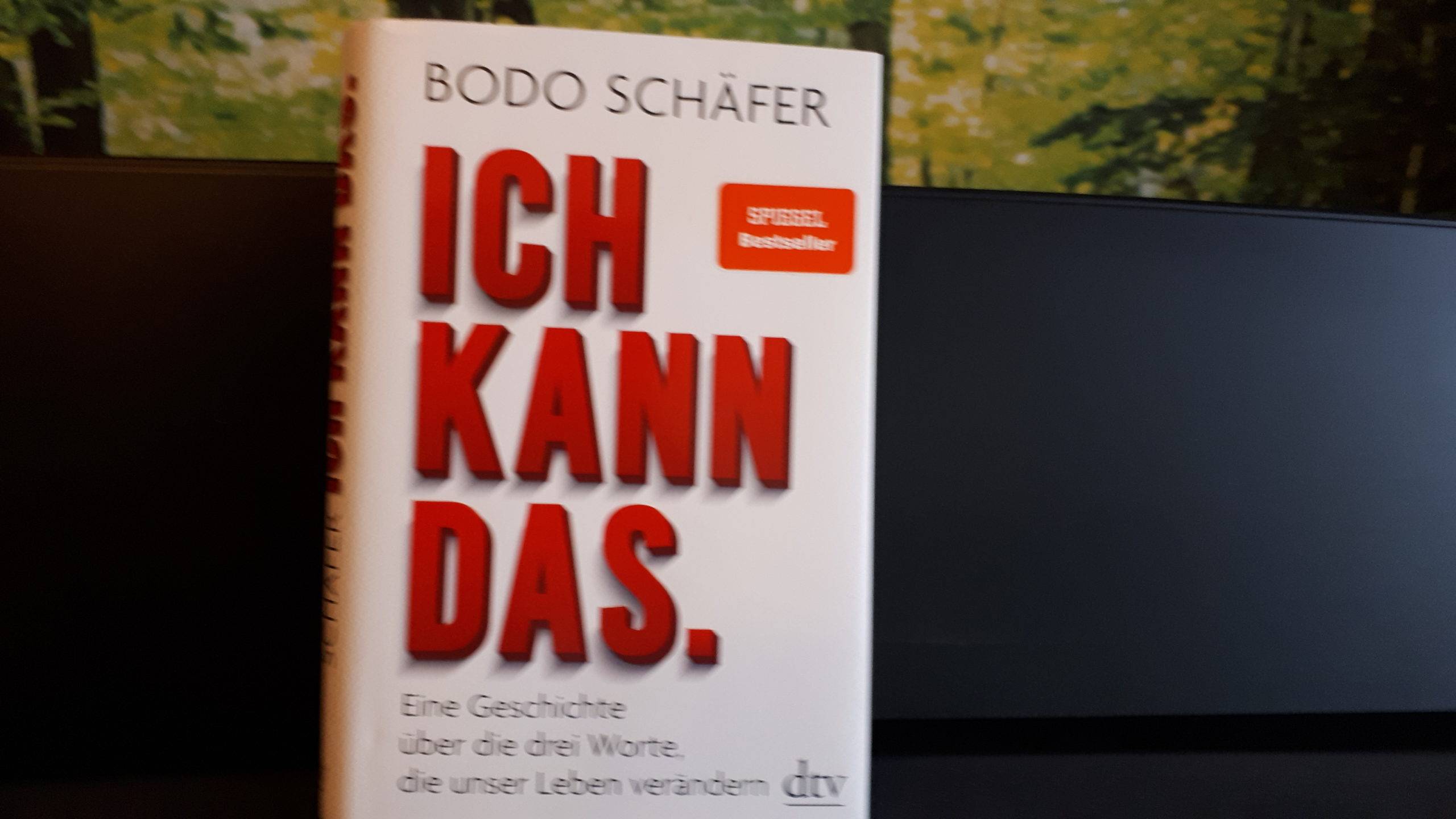 Bodo Schäfer – Ich kann das – Buchanalyse
