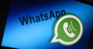 WhatsApp Automation