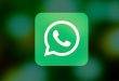 WhatsApp Business PC oder wie du die App gezielt fürs Online-Marketing nutzt