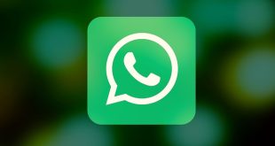 WhatsApp Business PC oder wie du die App gezielt fürs Online-Marketing nutzt