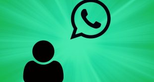 WhatsApp Business auf Webseite einbinden - diese Möglichkeiten gibt es